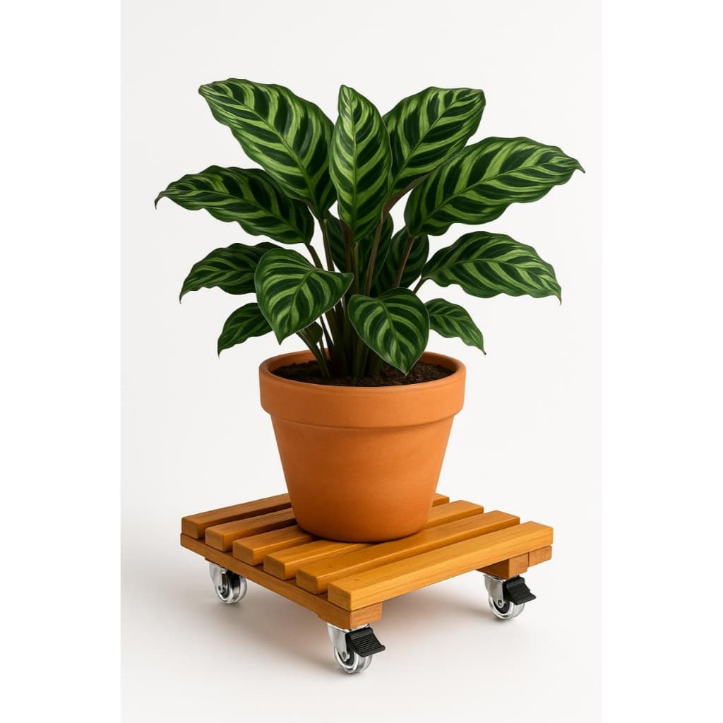 Suporte Para Vaso de Plantas Com Rodinhas De Silicone Em Madeira