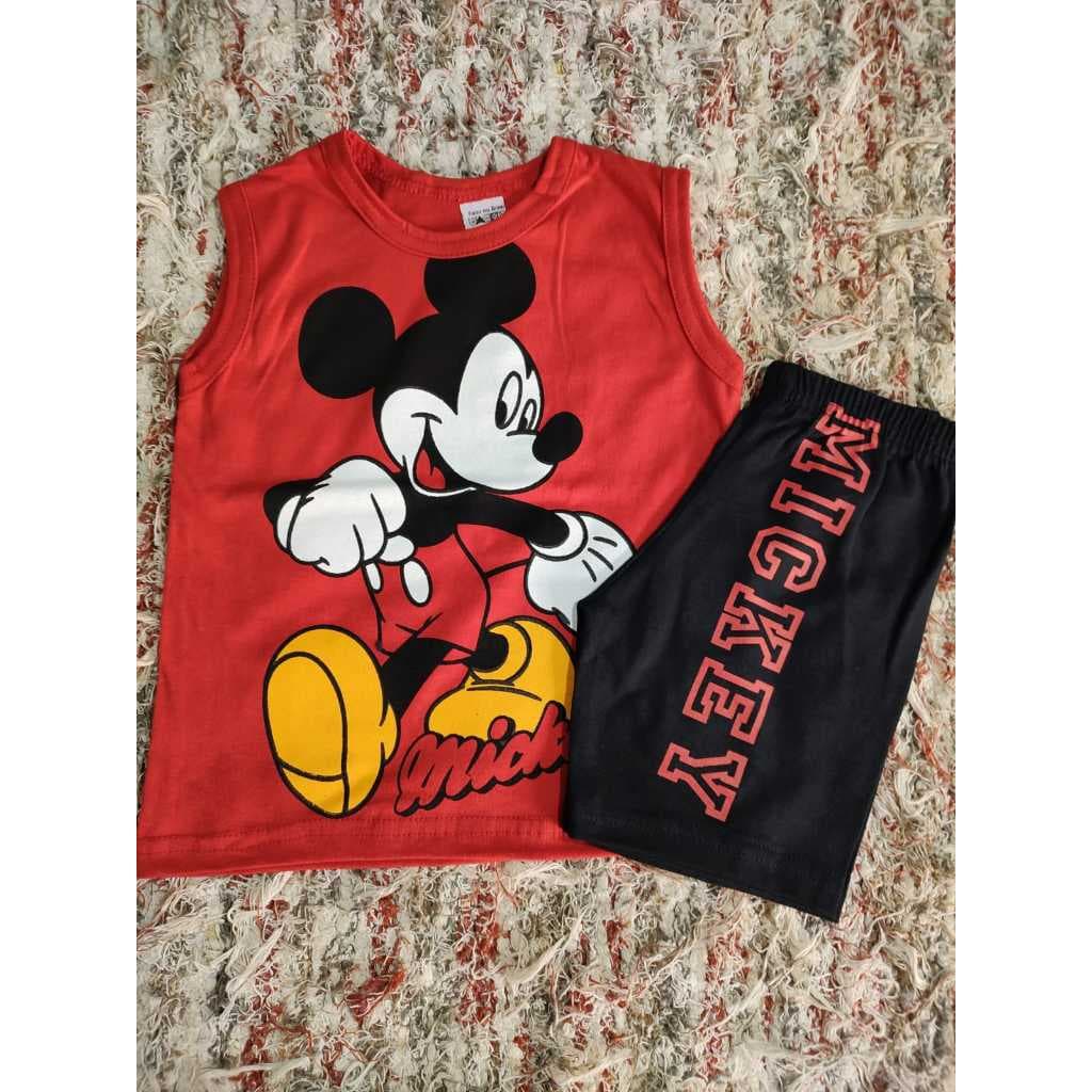 Conjunto verão Infantil personagens kit Regata temática e Bermuda 100% algodão