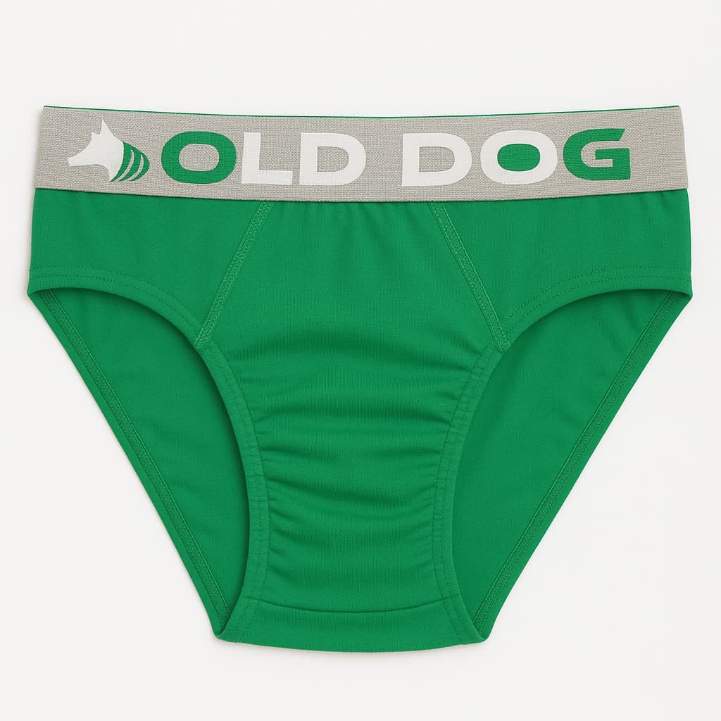 Kit 15 Cuecas Slip Microfibra Tradicional Adulto Masculino