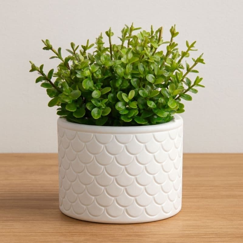 Vaso Decorativo com Planta Artificial – Enfeite Moderno para Sala, Quarto, Escritório, Mesa e Estante