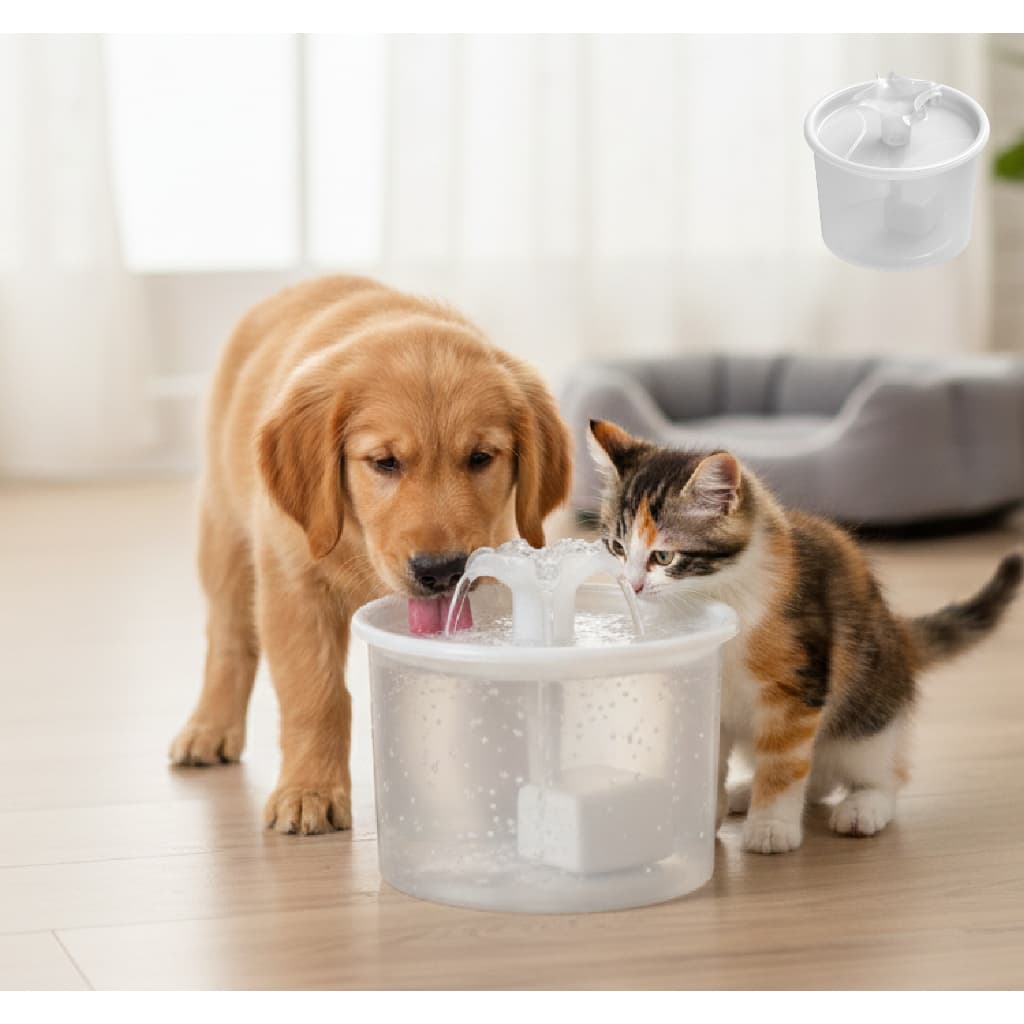 Fonte Bebedouro Clear Transparente com Filtro de Carvão - Acompanhe o nível de água