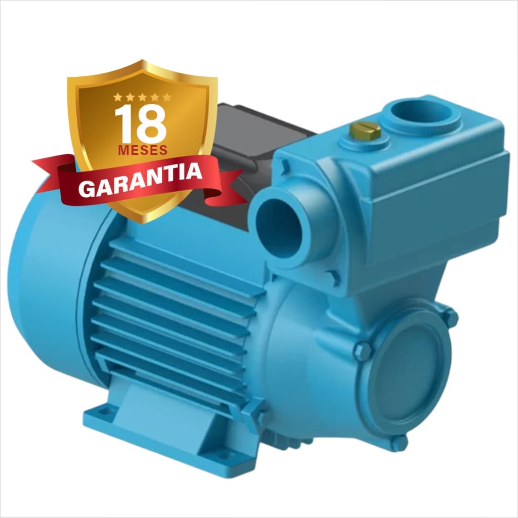 Bomba Auto Aspirante Elevação Monofásico 1/2cv Bomba Dancor Dpa-40 PeriféricaBivolt 110v/220v 27 METROS