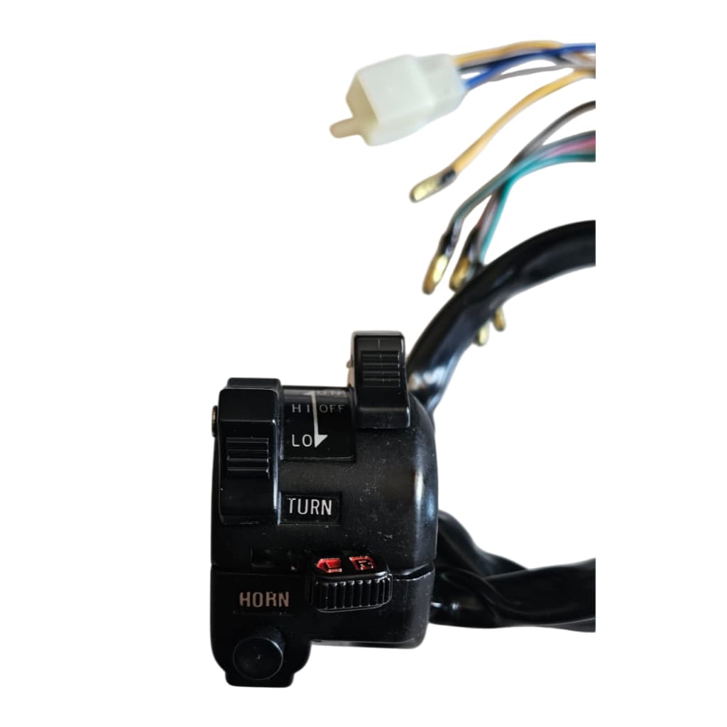 Chave Punho Interruptor Luz Rx 125 Dt 180 9 Fios ( C/Plug )  Paralelo