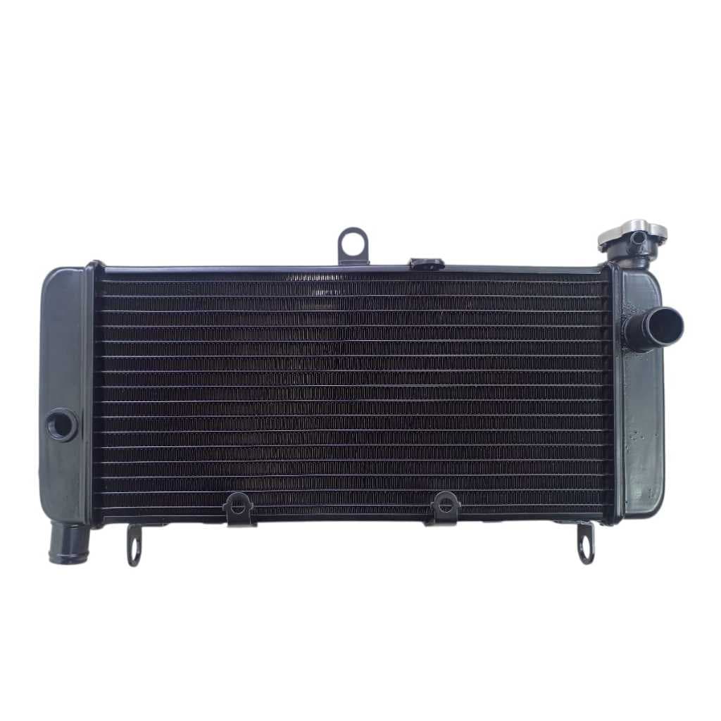 Radiador de agua  HKS Performance Hornet 600 Carburada HKS 2000 a 2007