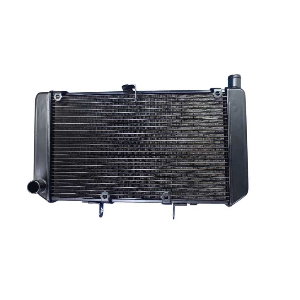Radiador de Água Novo para Hornet 600 Injetada (2008 a 2014) - Padrão Original