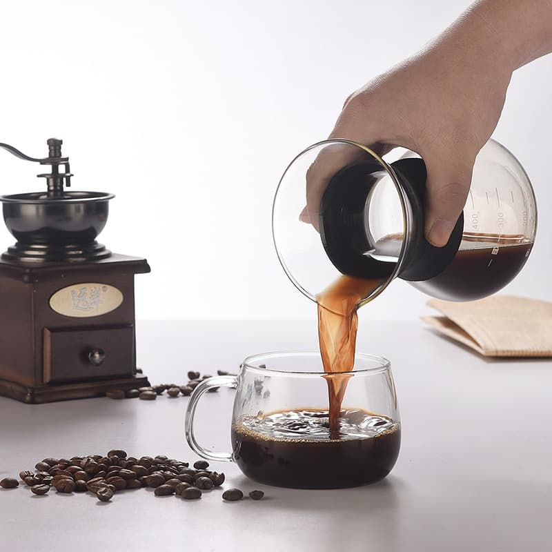 Cafeteira De Vidro Borossilicato Com Filtro Manual em Inox Passador de Café 600ml