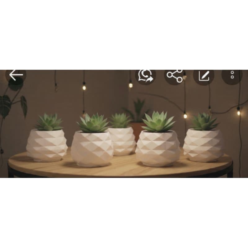Kit com 3 Vasos Cachepot Decorativos para Suculentas e Cactos,decorativo,presente,sala,quarto e sala.
