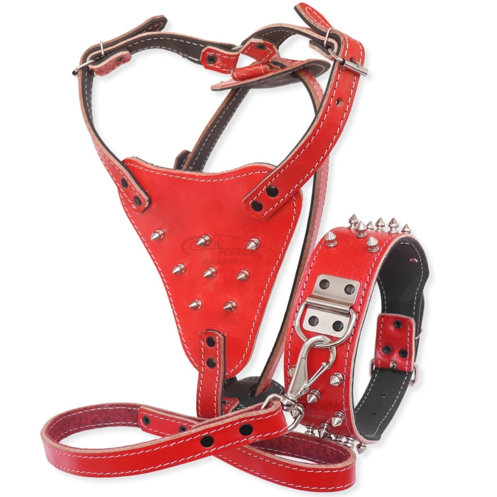 Kit Completo de Peitoral e Guia para Cachorro – Couro Vermelho com Espinhos para Estilo e Conforto