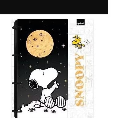 Caderno Universitário Argolado Capa Dura, 10 x 1, 160 Folhas, Snoopy, 1 UN