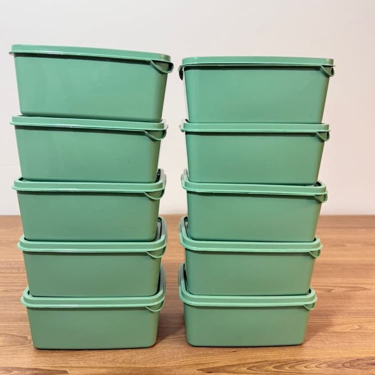 Kit com 10 potes de plástico herméticos 1 litro retangular para cozinha