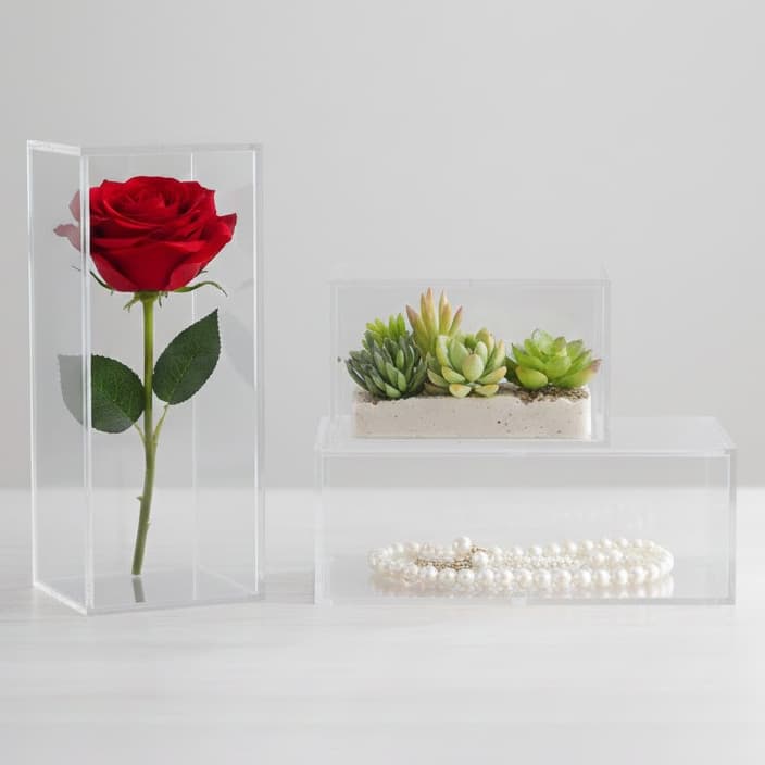Caixa Acrílico Transparente Organizador Display Cúpula  Redoma Decoração Exposior Cristal