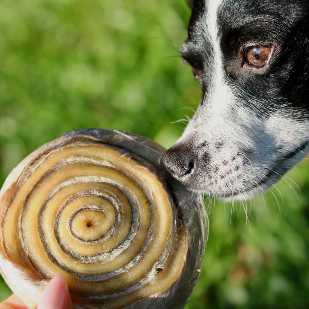 Mordedor Natural Para Cães Pet Couro Bovino Desidratado Pet Bem Discão