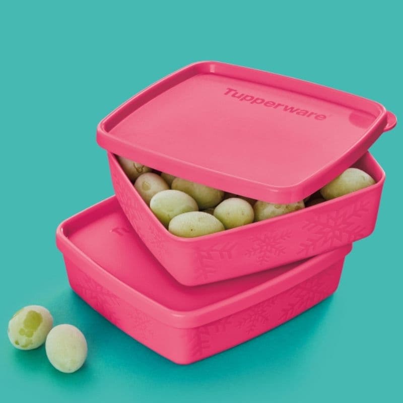 TUPPERWARE POTE MINI JEITOSINHO NEVE 250ML FREEZER, ORGANIZAÇÃO