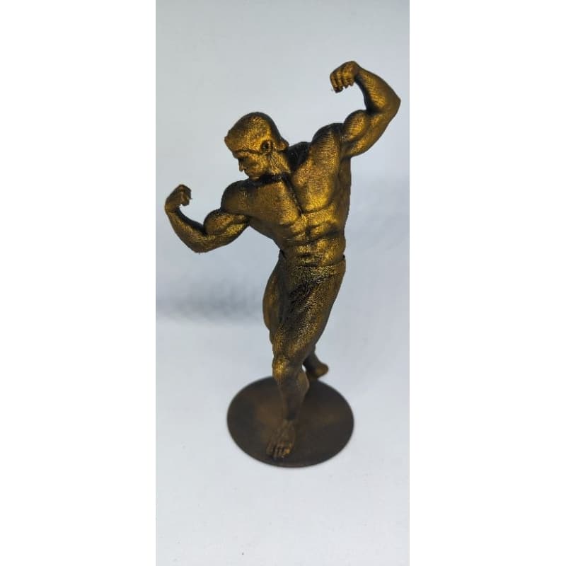 Decoração -Troféu academia, Estatueta de Academia, Musculação Fitness, Charms Fitness Gym