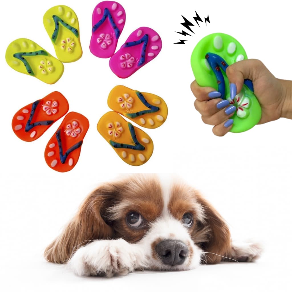 Mordedores Chinelo Para Pet Cachorro Brinquedo Dentição
