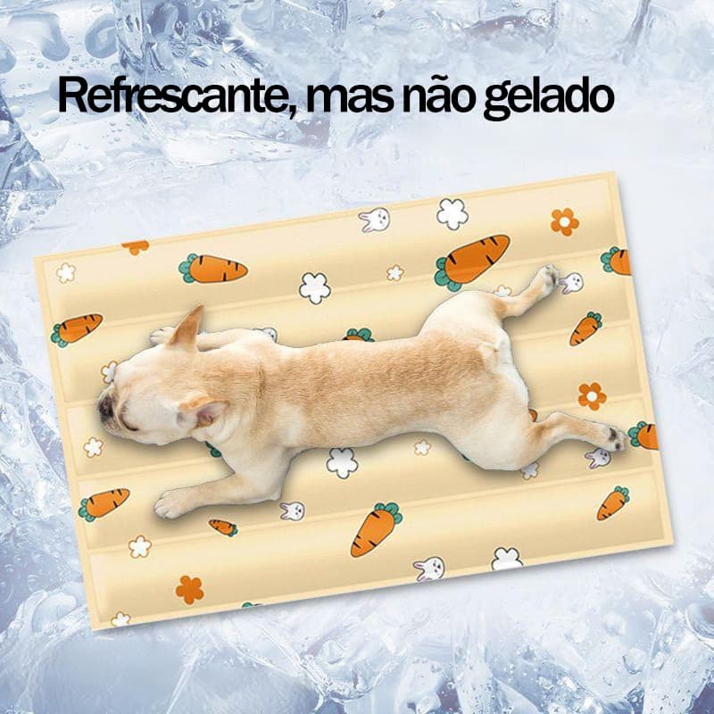 Tapete Pet Gelado Resfrescante 60*45cm para Cães e Gatos