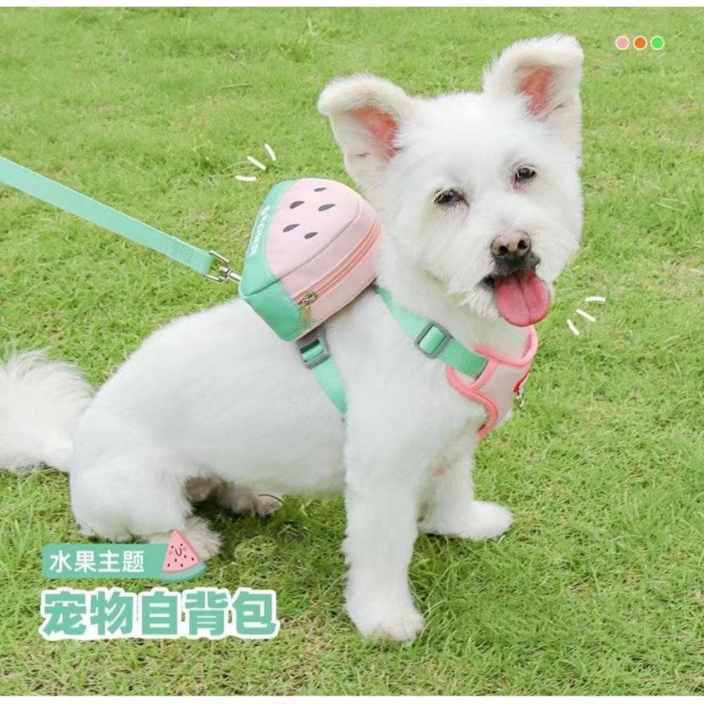 Mochila Pet  Para Cães e gatos / Coleira Peitoral Com ursinho/guia para cachorro