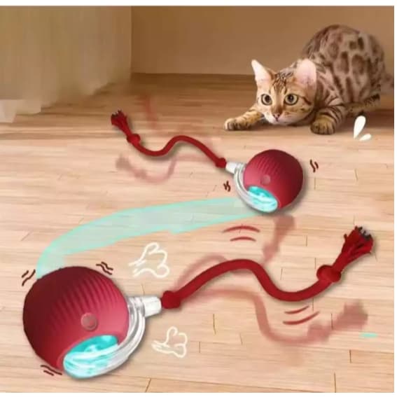 Oferta especial Bola De Brinquedo Elétrico, Interativa Para Gatos Com Sensor de Movimento Treinamento de gatos auto-move