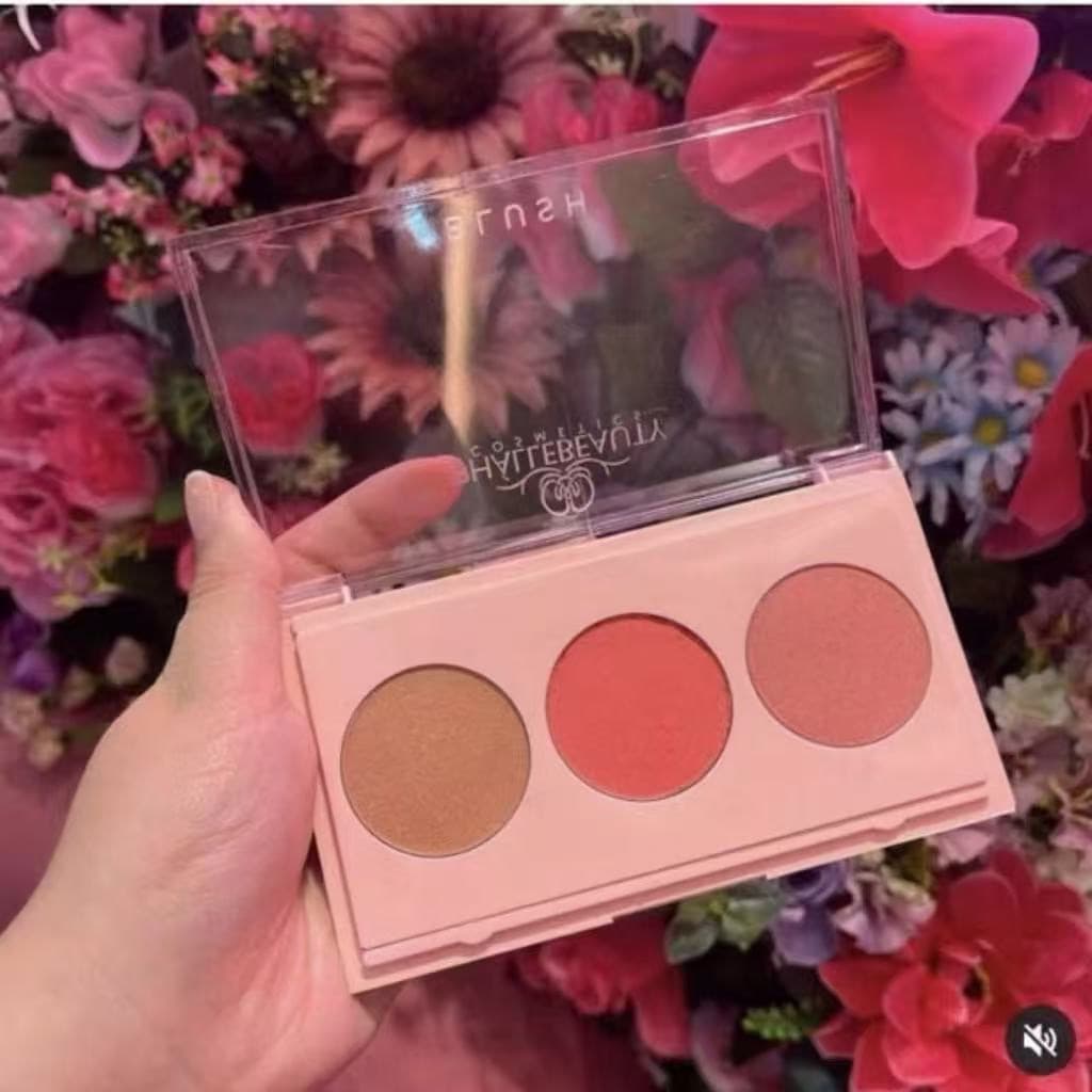Paleta de blush e Contorno Paleta de maquiagem 3 cores cosmeticos PhálleBeauty  ph 318