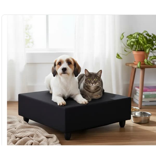 Lençol Pet com Elástico 80x60x16cm Percal Flex 200 Fios – Conforto e Proteção