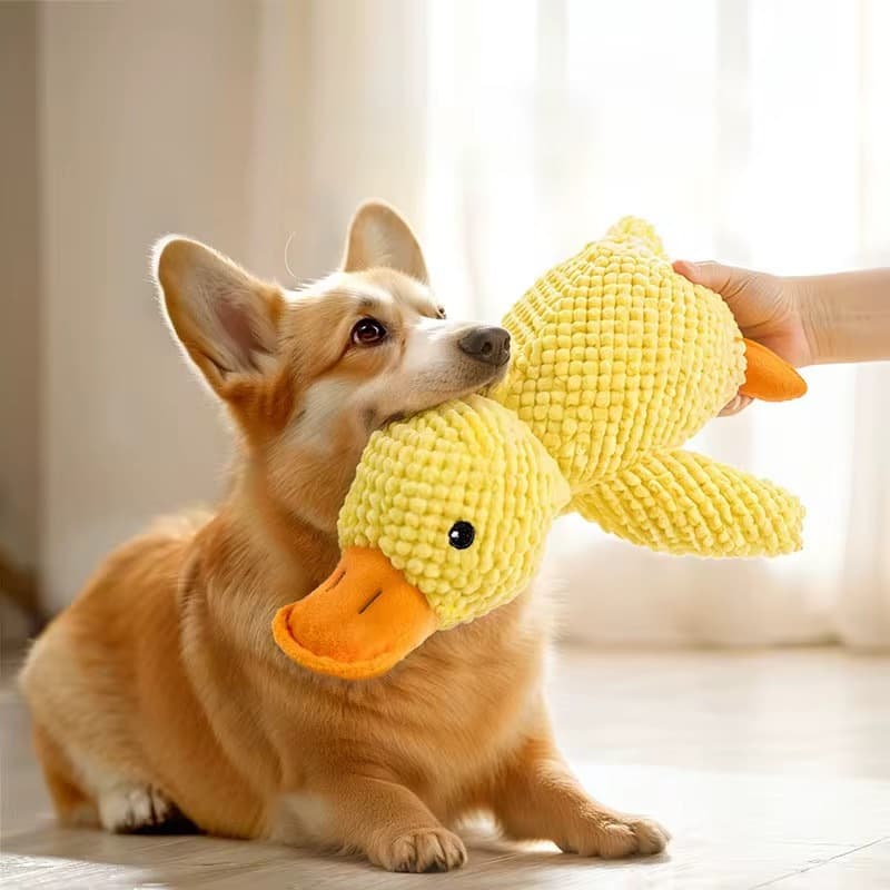 Brinquedo Mordedor Pet Pelúcia Para Cães e Gatos Com Apito de Pato