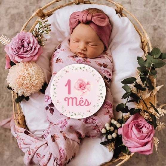 12 Plaquinhas Mêsversário Aniversário Mêses Bebê Decorar Foto - Jardim