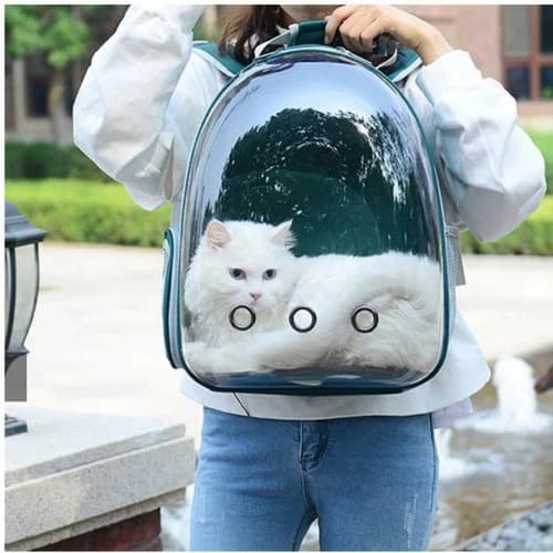 Mochila Pet Transport para Cães e Gatos Visão Entrada de Ar