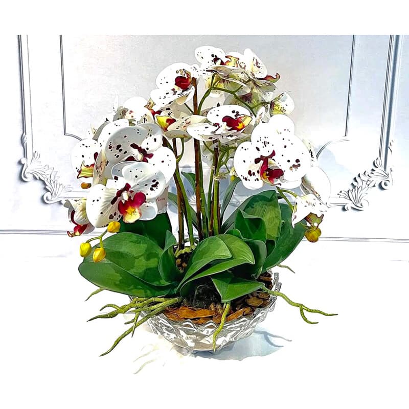 Orquidea Silicone 3d Toque Real Para Decorações Sofisticadas Luxuosa, Casamento HS802022