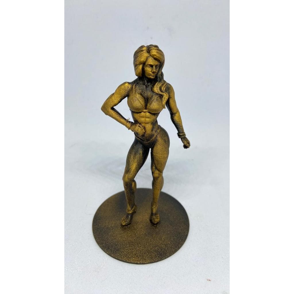 Decoração-Troféu academia, Estatueta de Academia,Musculação Fitness, Charms Fitness Gym,troféu feminino