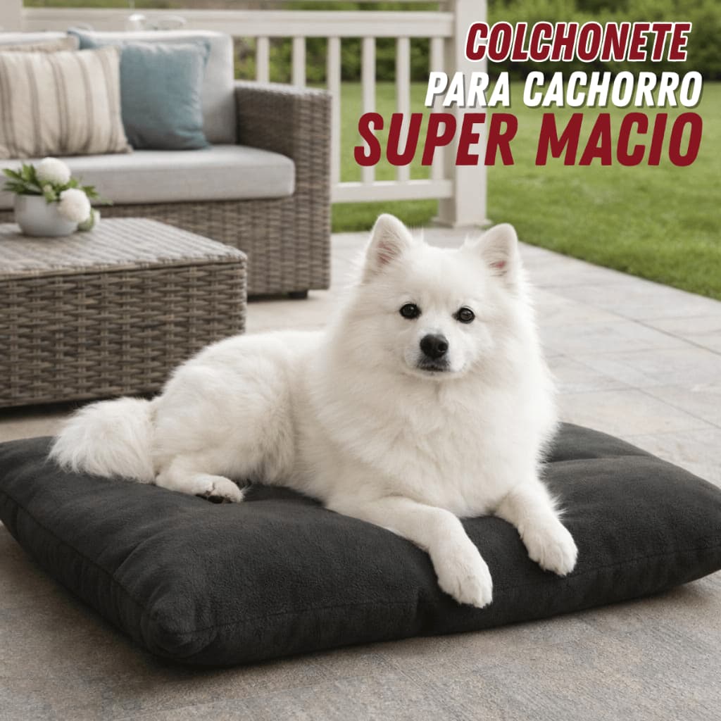 Cama Cachorro Pet Quadrada Raças Pequenas Super Macia Confortável Todas Estações 45X45