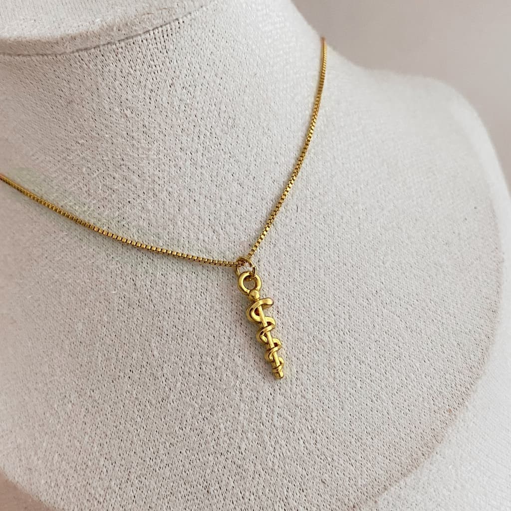 Colar Personalizado Medicina Folheada a Ouro 18K com 3 milesimos e Verniz Italiano Colar Pingente Profissão