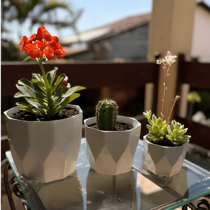 Vasos Pequenos para Cactos e Suculentas - Kit com 3 Cachepôs
