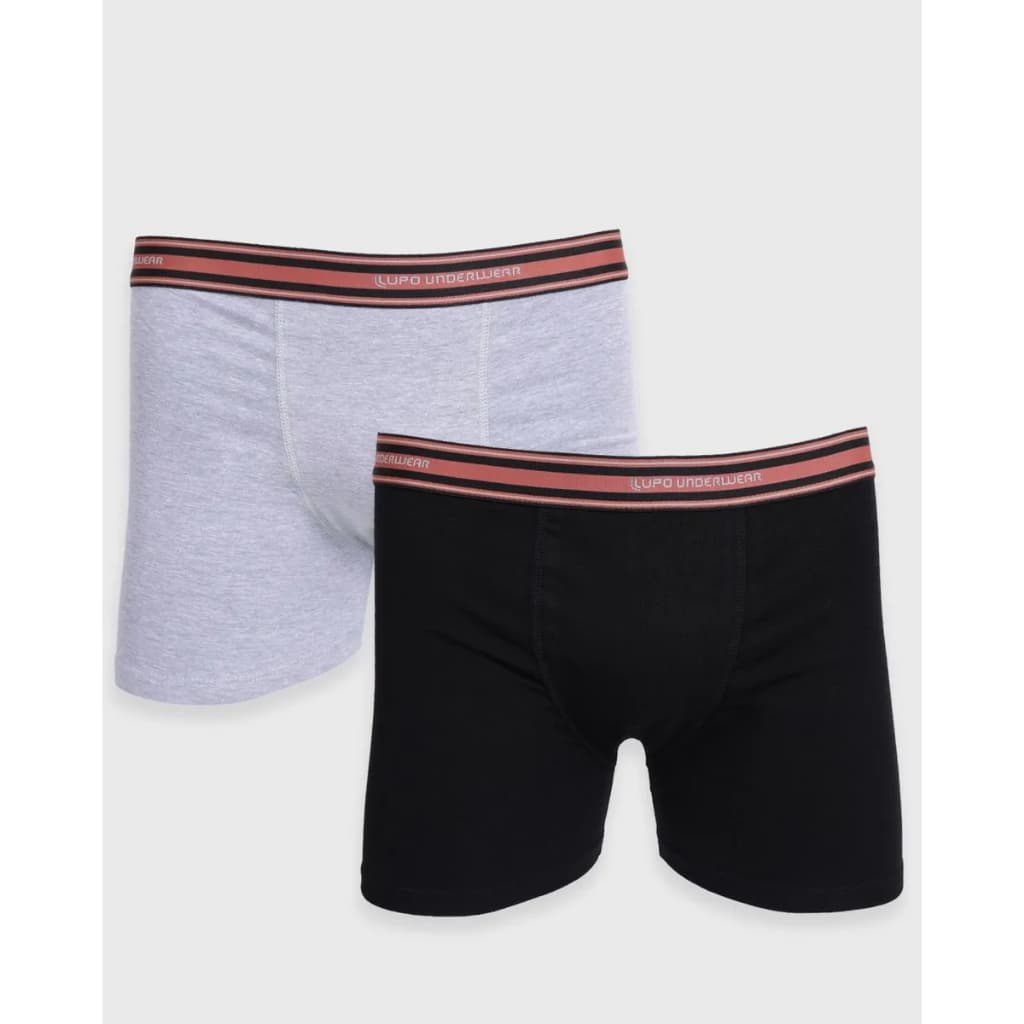 Kit Com 2 Cuecas Boxer Lupo Original Algodão Masculina