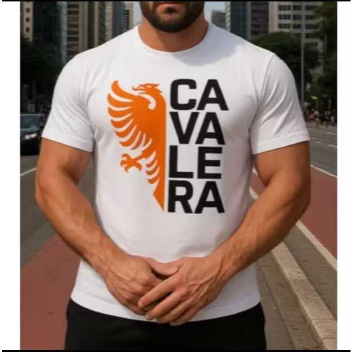 Camiseta Masculina 100% Algodão Camisa Casual Estilosa Caimento Perfeito Lançamento