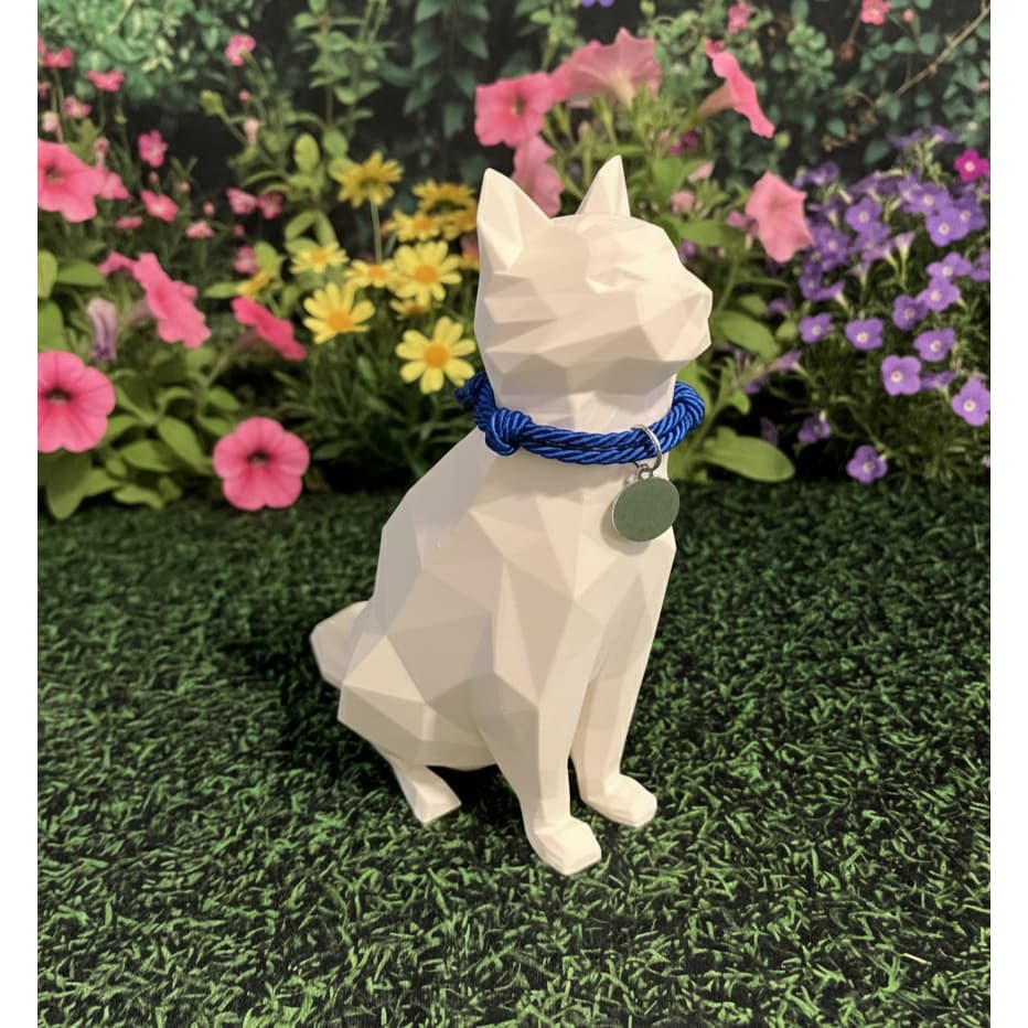 Coleira Gato Cachorro Pequeno Porte Trançada Ajustável com Nome do Pet Personalizada