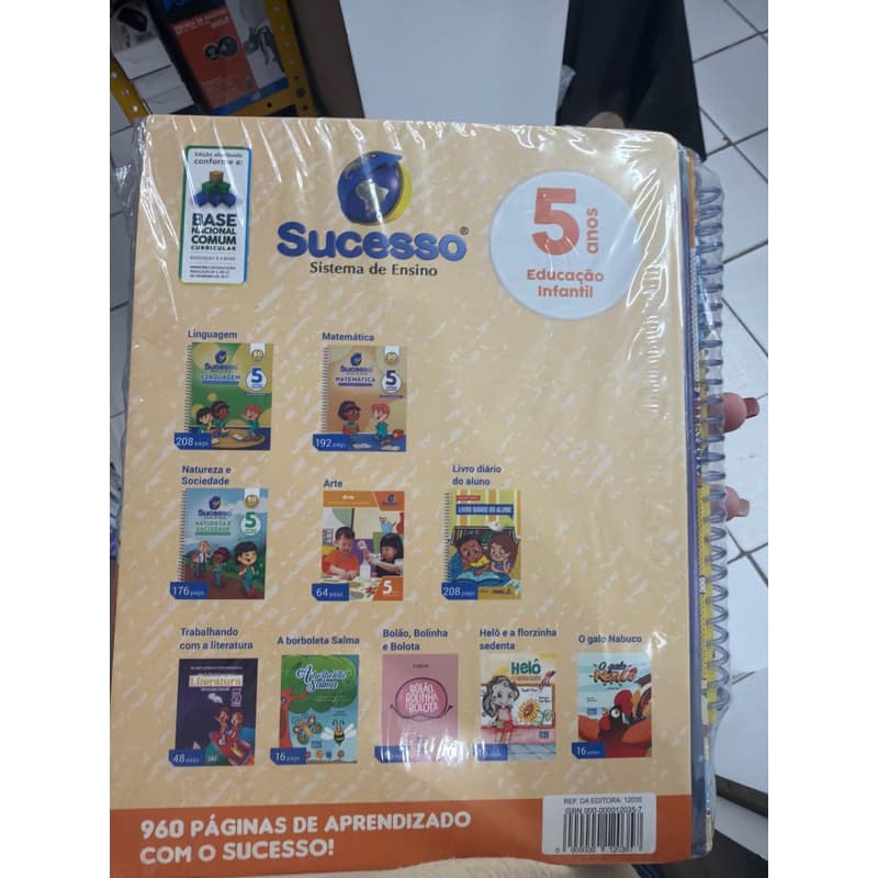 SISTEMA DE ENSINO SUCESSO EDUCAÇÃO INFANTIL C/BNCC  EDIÇÃO.