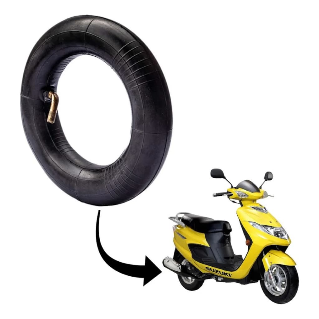 CAMARA BURGMAN DIANT. TRAS. ARO-10