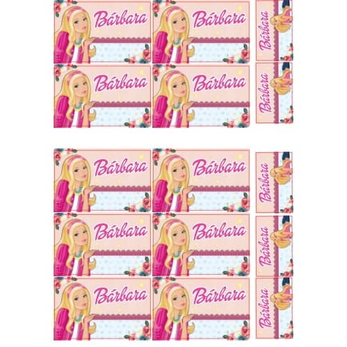 Kit 15 Etiquetas Escolares Personalizadas Ideal para Cadernos Livros FAZEMOS QUALQUER TEMA