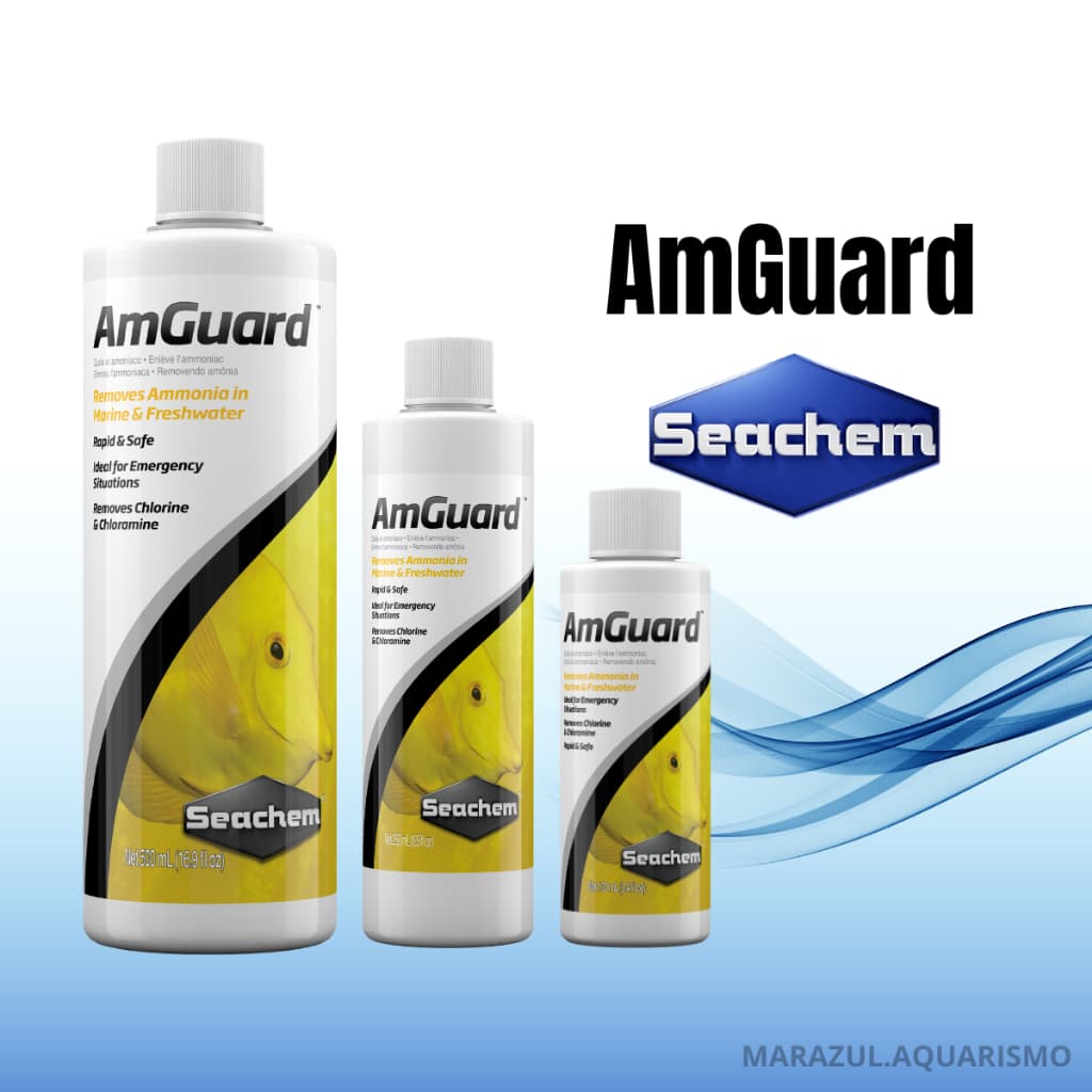 Seachem AmGuard Condicionador Removedor Amônia, Nitrito, Cloro E Cloramina