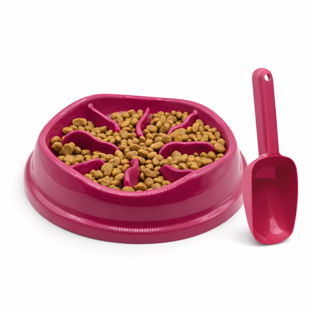 Comedouro Educativo Anti Ansiedade 550ml Pet + Pá Dosadora Grátis
