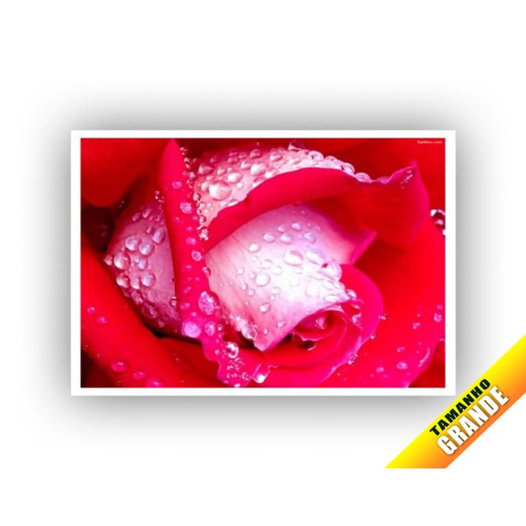 Papel Arroz Flores Vermelhas para Bolo Grande 30x40cm de 7kg Personalizado