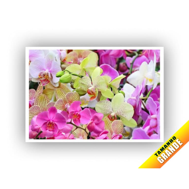 Papel Arroz Flores para Bolo Grande 30x40cm de 7kg + 4 Faixas Lateral