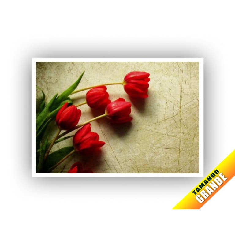 Papel Arroz Flores Para Bolo Grande 30x40cm de 7kg + 4 Faixas