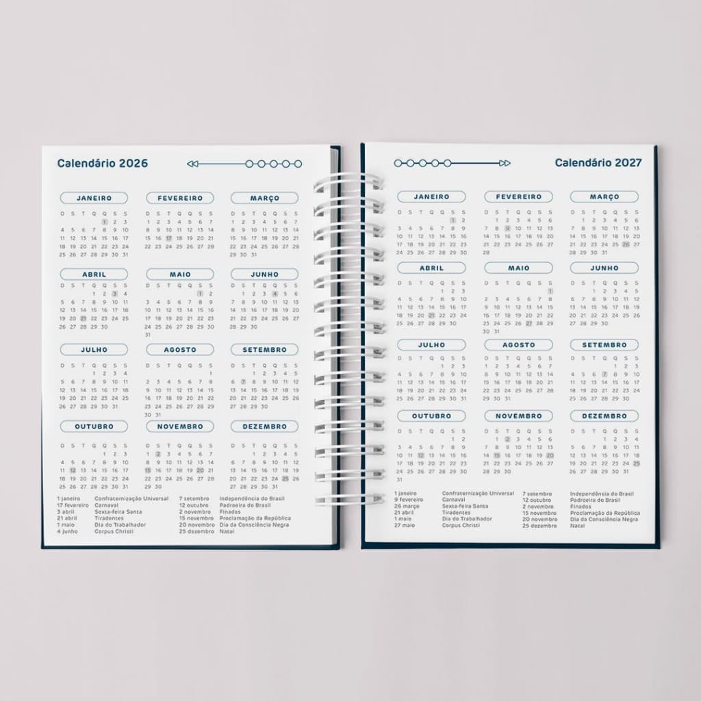 Refil / Miolo para Planner Financeiro Permanente - Coleção Topázio