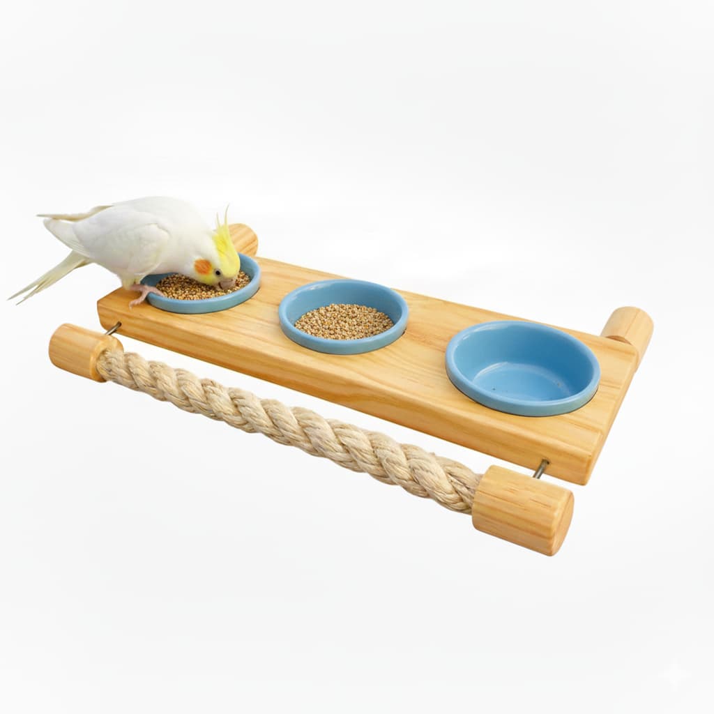 Comedouro Premium para Aves com Poleiro de Sisal, Potes de Porcelana e Suporte em Inox