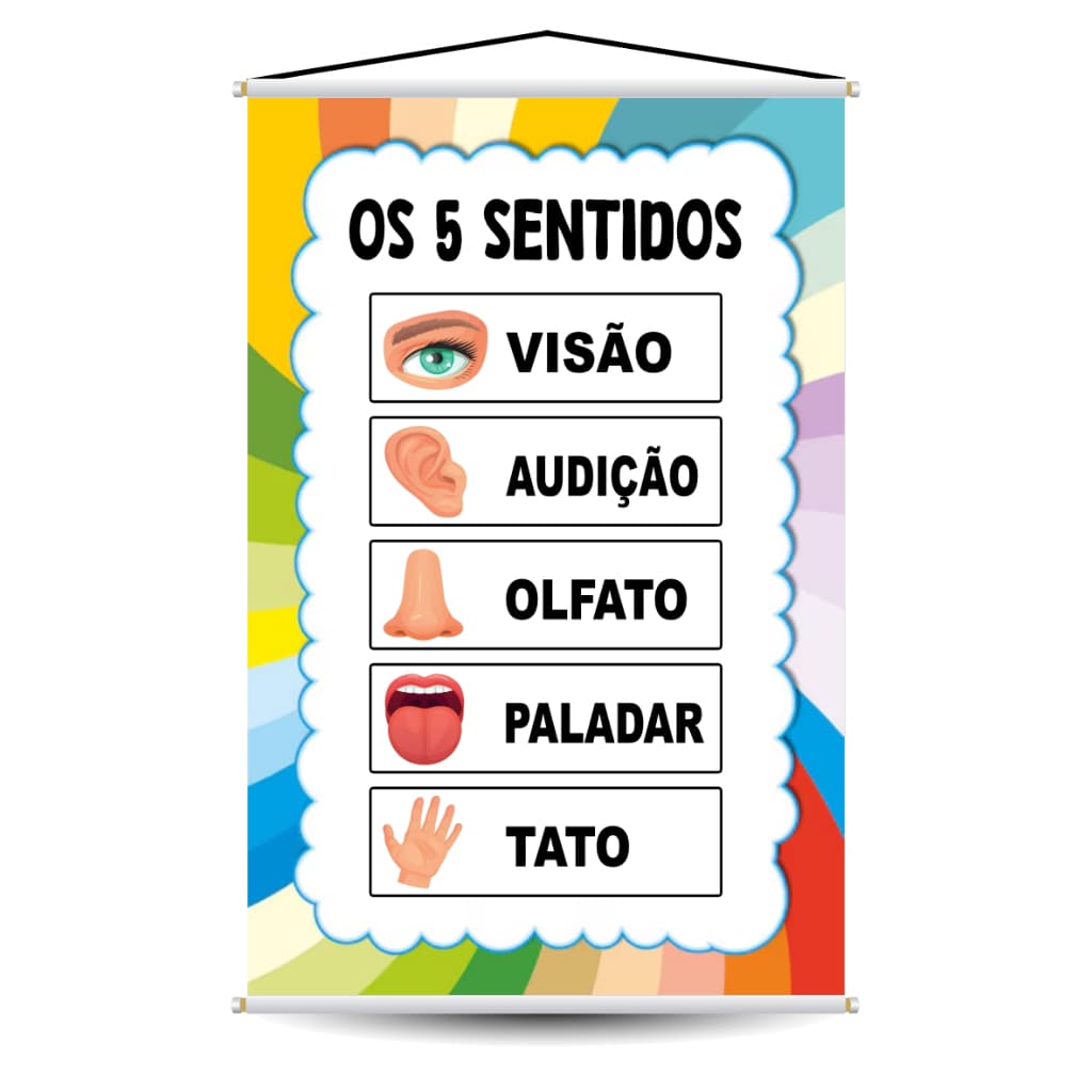 Banner Educativo Infantil Os 5 Sentidos - Material Pedagógico Escolar para Educação Infantil e Sala de Aula