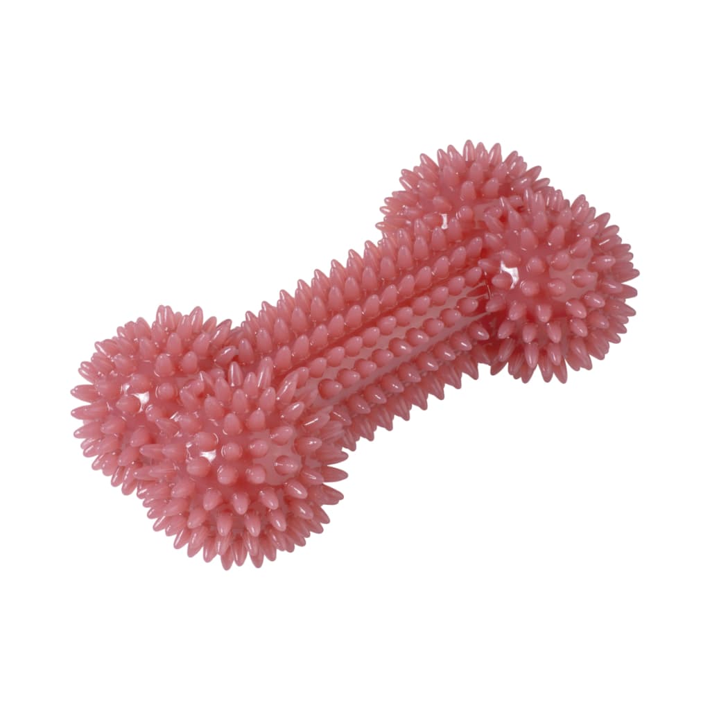 Mordedor Dental Musical Para Pet Faz Barulho Cachorro Adora Cor Azul e Rosa