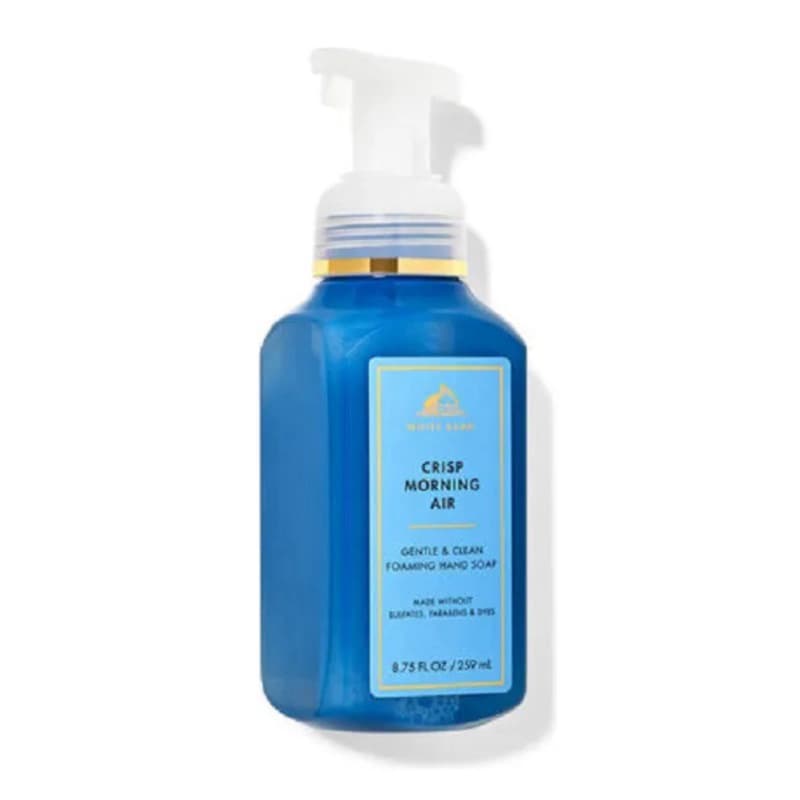 Bath & Body Works Crisp Morning Air Hand Soap 259ml Imp Usa