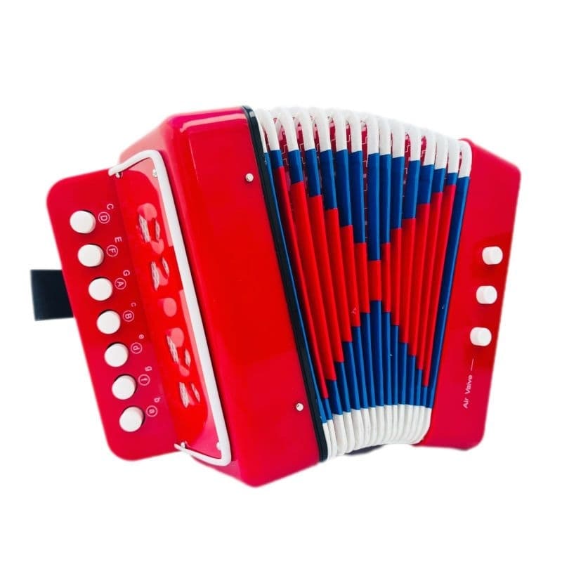 Instrumento Infantil Sanfona Acordeon 3 Baixo 7 Teclas