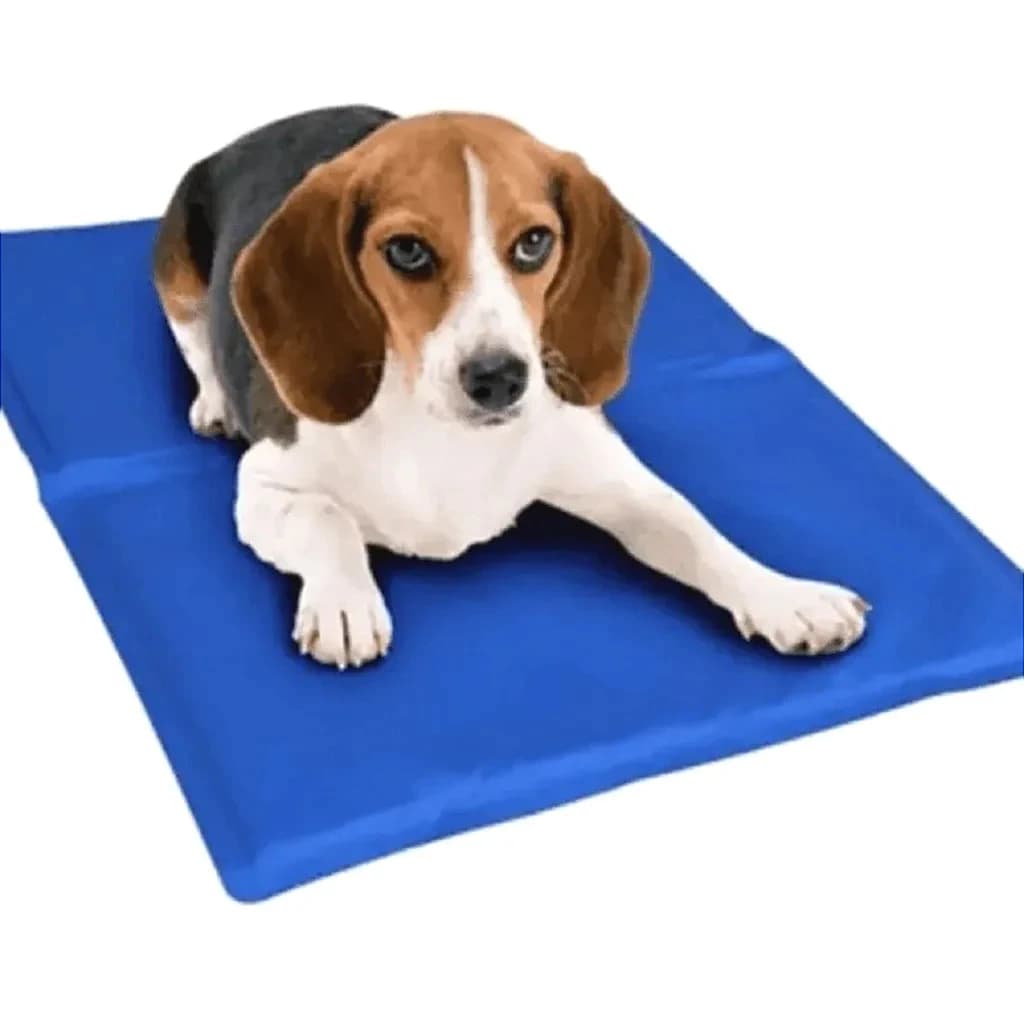 Tapete Gelado Para Pets -65x50cm